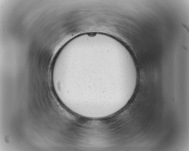 X0000102231517200808151717