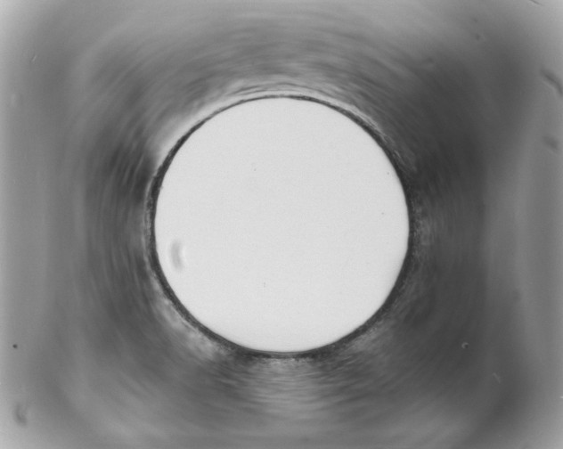 X0000102231518200808151717