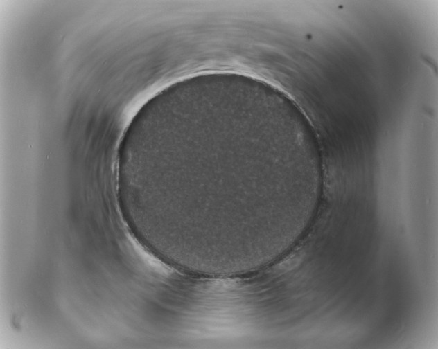 X0000102231519200808151717