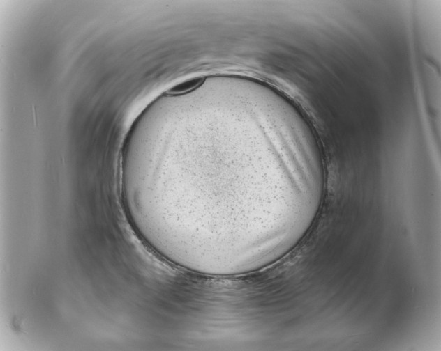 X0000102231520200808151717