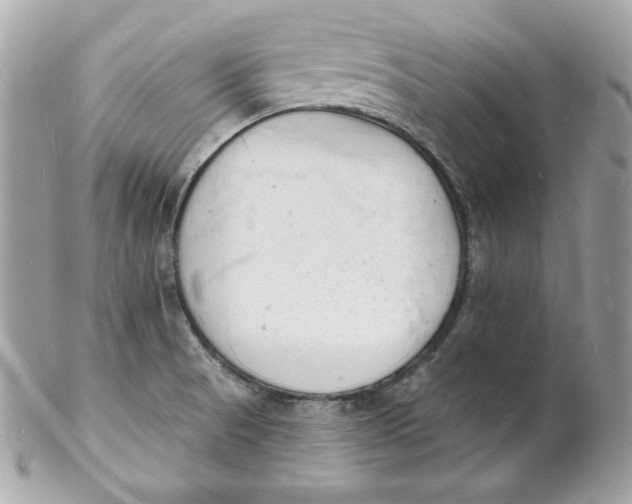 X0000102231521200808151717