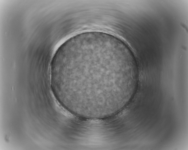 X0000102231522200808151717