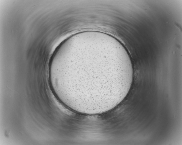X0000102231523200808151717
