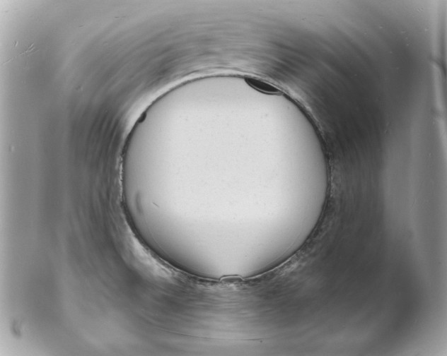 X0000102231524200808151717