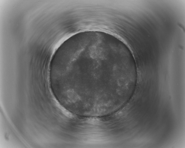 X0000102231525200808151717