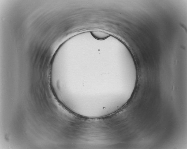 X0000102231526200808151717