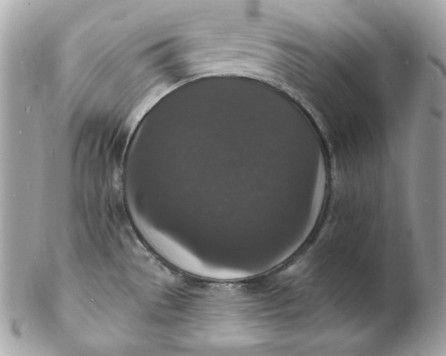 X0000102231529200808151717
