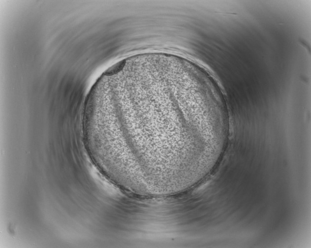 X0000102231530200808151717