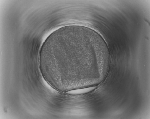 X0000102231531200808151717