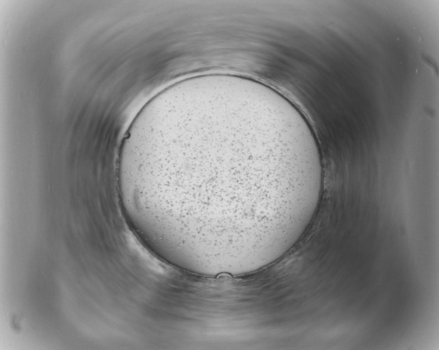 X0000102231532200808151717