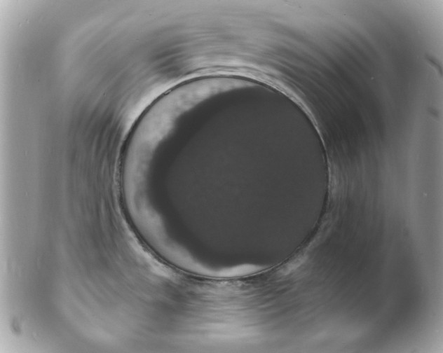 X0000102231533200808151717