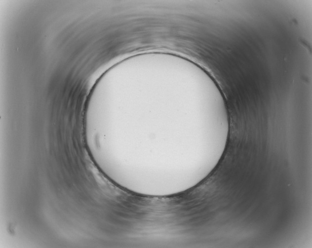 X0000102231534200808151717