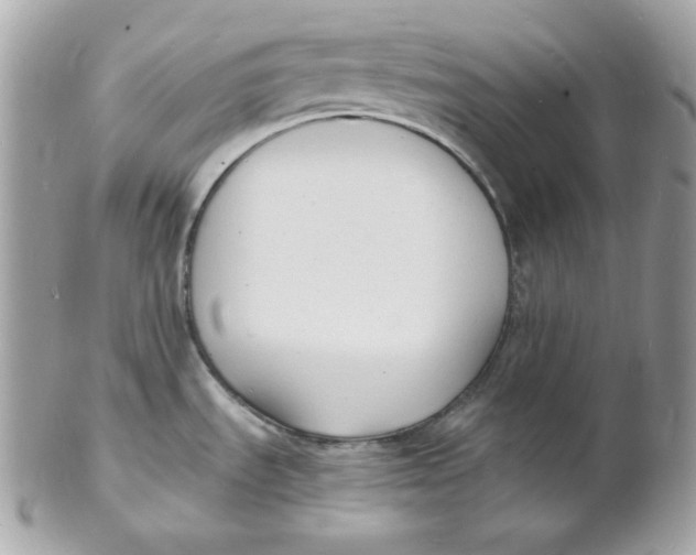 X0000102231535200808151717