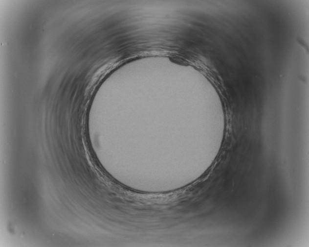 X0000102230001200808221318