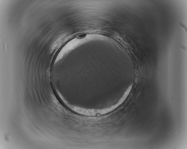 X0000102230002200808221318