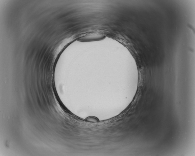 X0000102230003200808221318