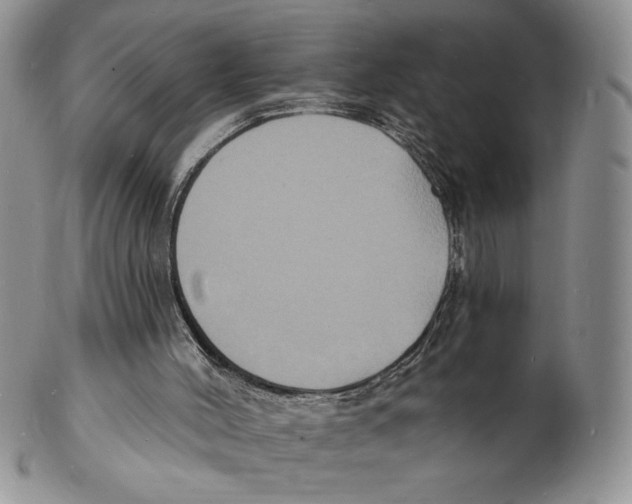X0000102230004200808221318