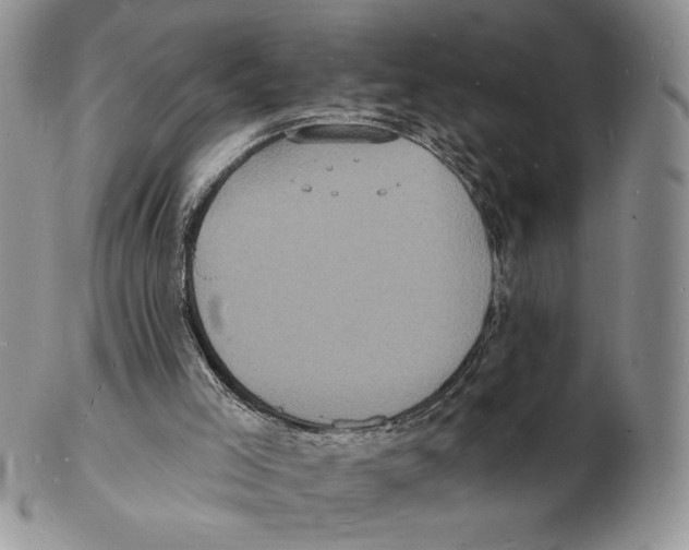 X0000102230005200808221318