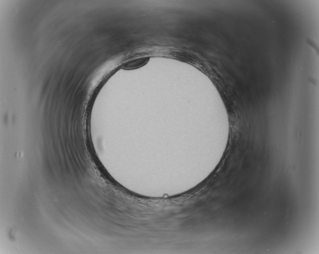 X0000102230006200808221318