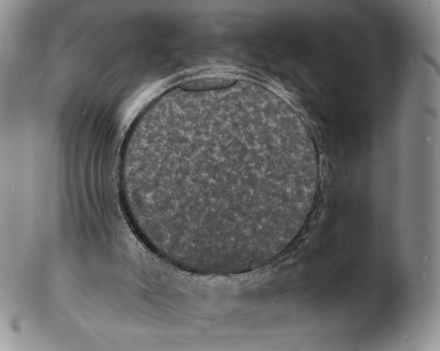 X0000102230007200808221318