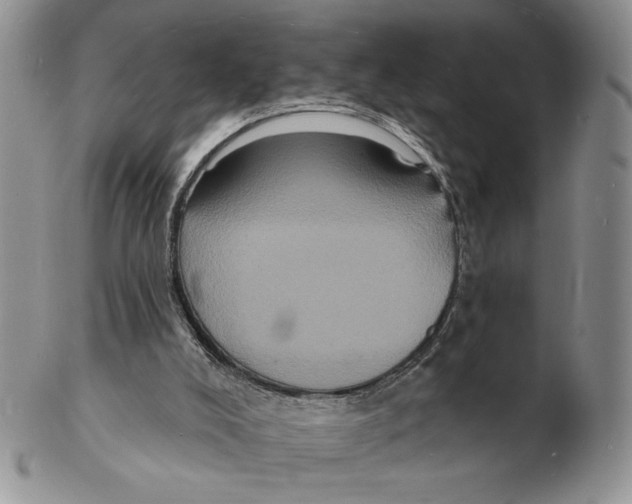 X0000102230008200808221318