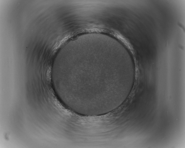 X0000102230009200808221318