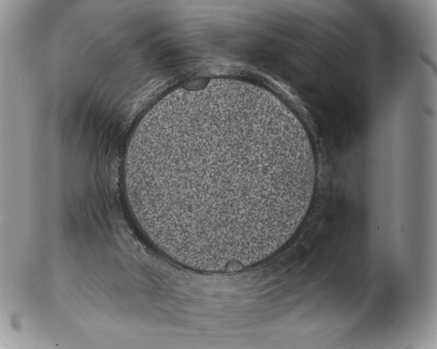 X0000102230010200808221318