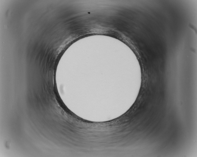 X0000102230011200808221318