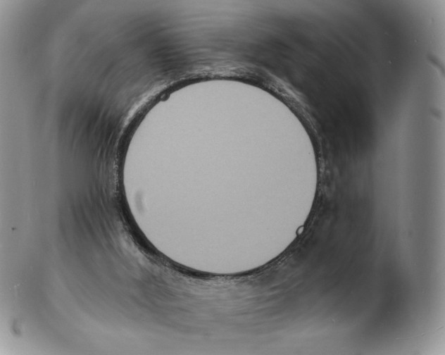 X0000102230012200808221318