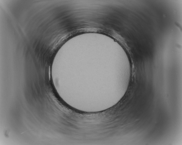 X0000102230013200808221318