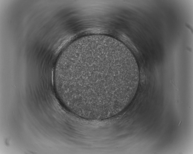X0000102230014200808221318
