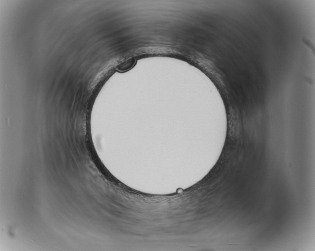 X0000102230015200808221318
