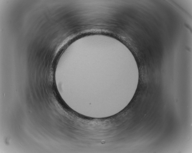 X0000102230016200808221318