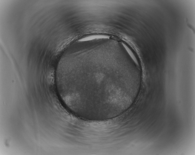 X0000102230017200808221318