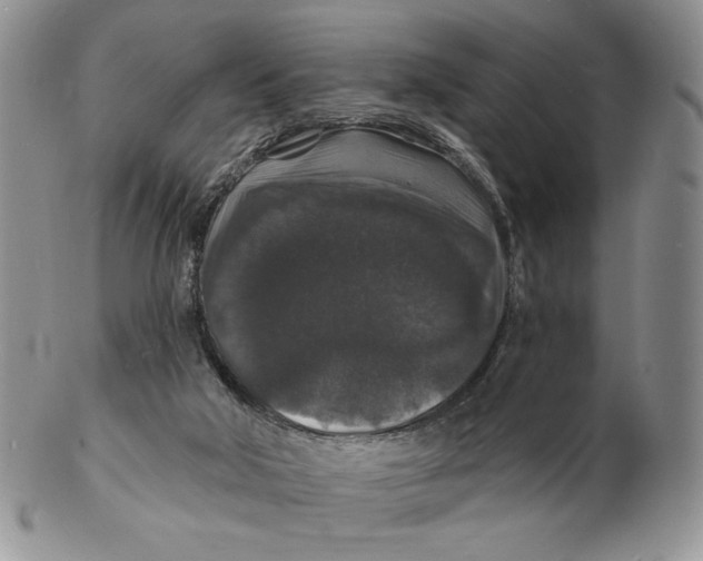 X0000102230018200808221318
