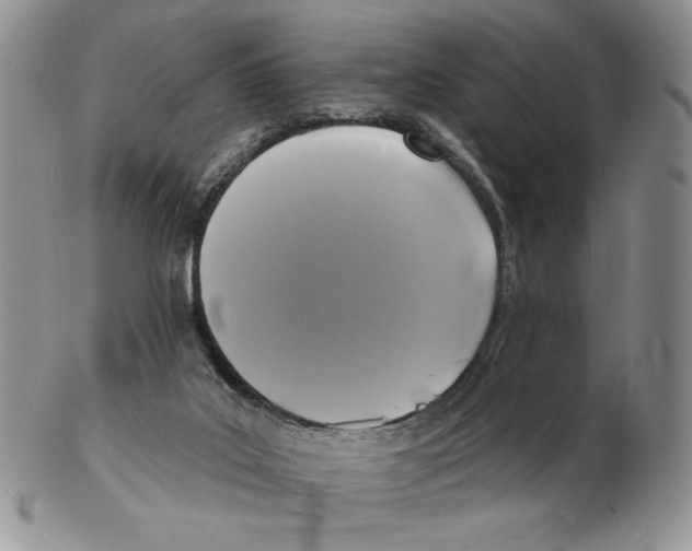 X0000102230019200808221318