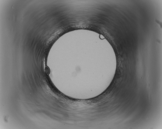 X0000102230020200808221318