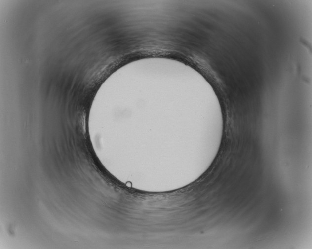 X0000102230021200808221318