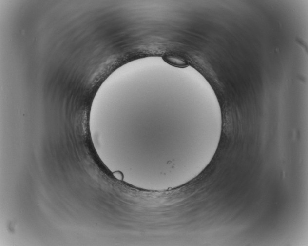 X0000102230023200808221318