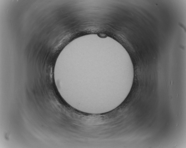 X0000102230024200808221318