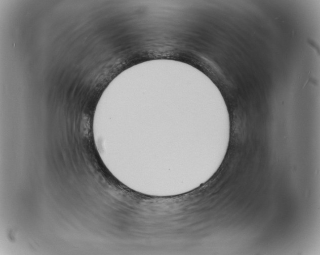 X0000102230025200808221318