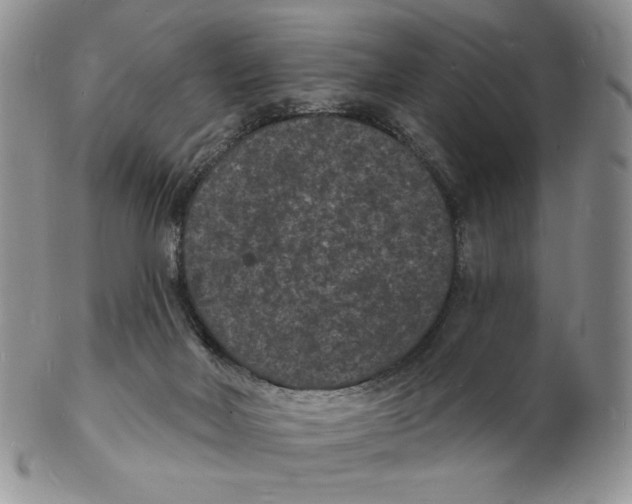 X0000102230026200808221318