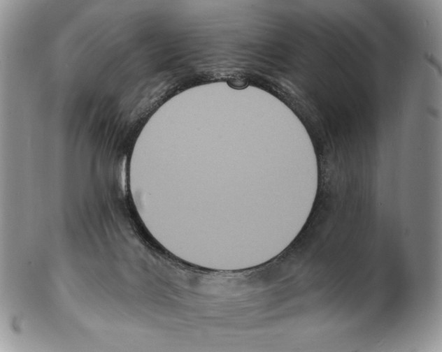 X0000102230028200808221318