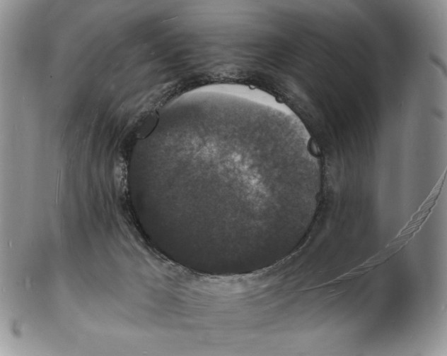 X0000102230029200808221318