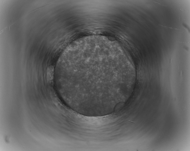 X0000102230030200808221318