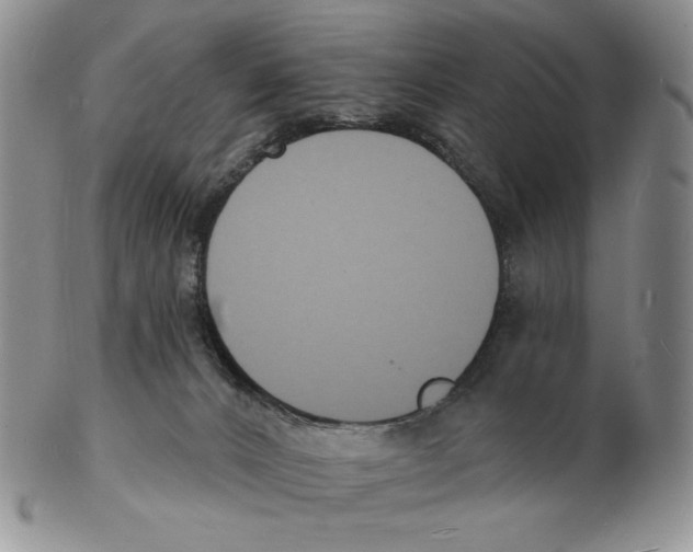 X0000102230032200808221318