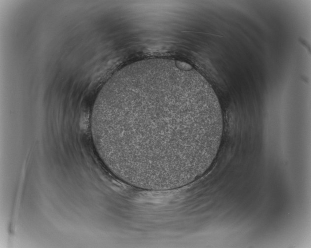X0000102230033200808221318