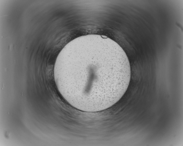 X0000102230034200808221318