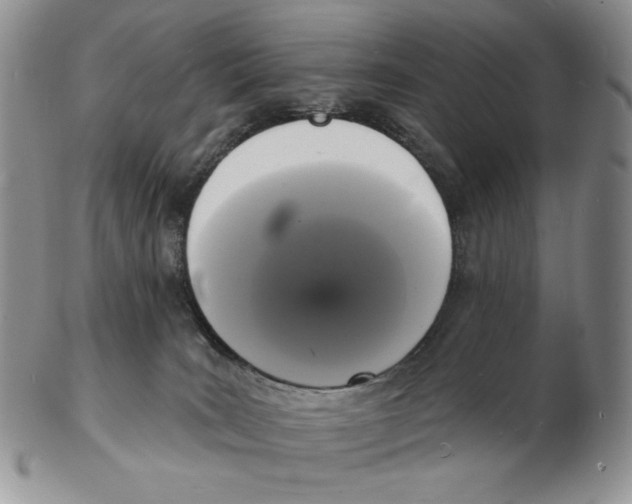 X0000102230035200808221318