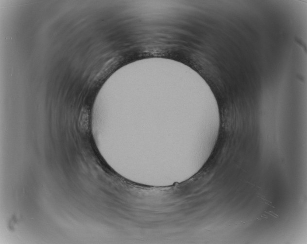 X0000102230036200808221318
